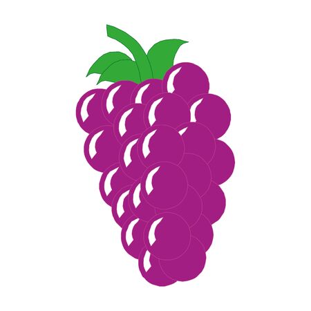 Grape branches isolated on white background. Hand drawn vector illustration.のイラスト素材