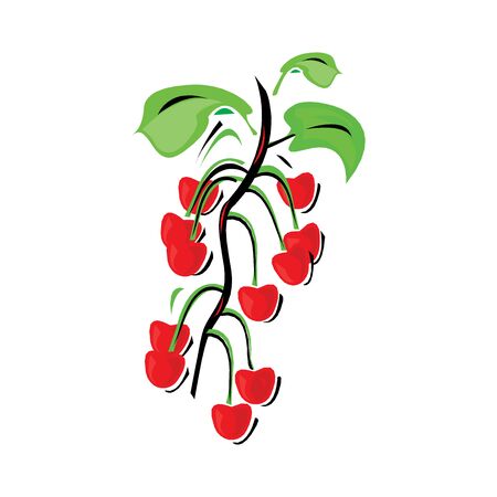 Cherry vector icon isolated on a whiteのイラスト素材