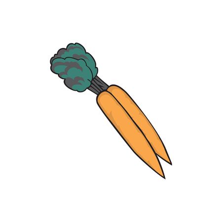 Carrots vector illustration isolated on a whiteのイラスト素材
