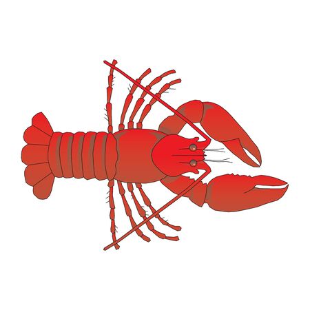 vector lobster clip art logo illustration isolated on white background in EPS10のイラスト素材