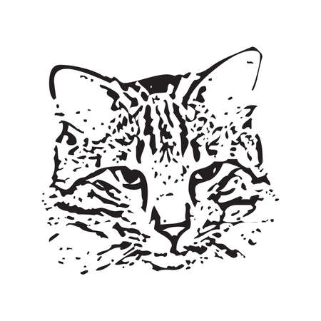 Vector of a cat face design on white backgroundのイラスト素材