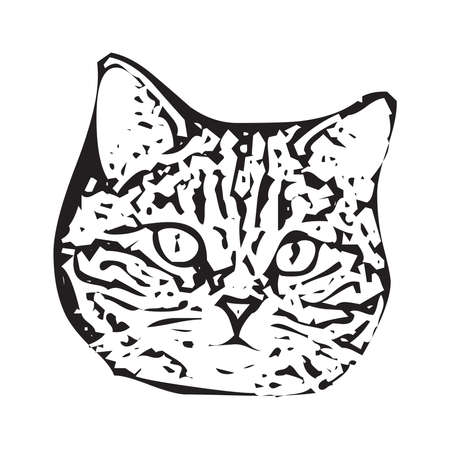 Vector of a cat face design on white background, Pet.のイラスト素材