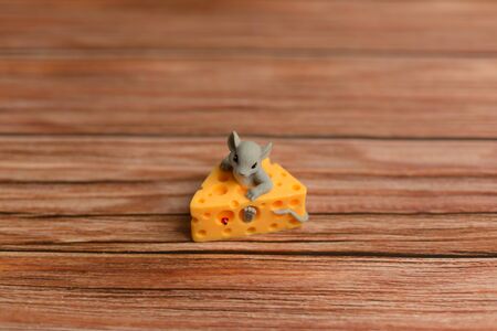 Mouse sitting in the cheese on the background of wooden boards.の写真素材
