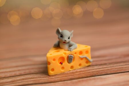 A toy mouse sits in cheese on a wooden starry background, a symbol of 2020.の写真素材
