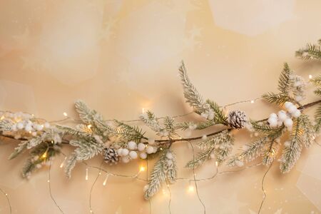 Backgrounds and textures. Spruce branch in the snowの写真素材