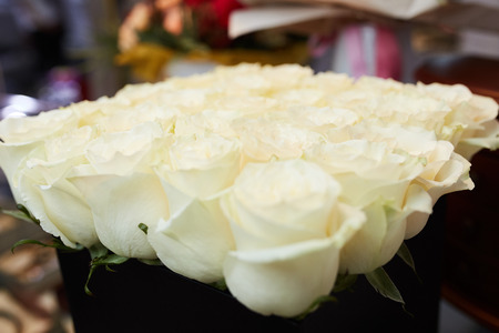 a bouquet of white roses on a table in a beautiful packageの写真素材
