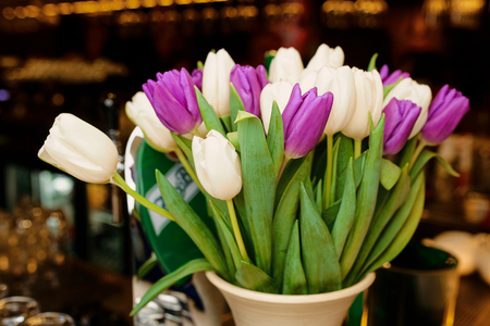 Amazing photo of mixed tulips bouquet in a white vaseの写真素材