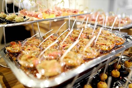 Catering, delicious new welcome meat snacks thinly sliced and beautifully laid out on a white plate, designed for hungry guests of the holidayの写真素材