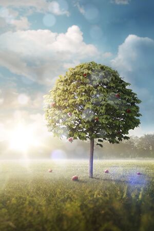 Morning story. Lonely apple tree in the field. Vertical beautiful background. Storyの写真素材