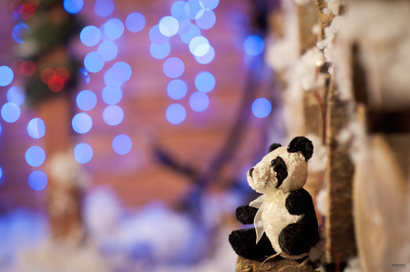 panda bear Christmas tree toyの写真素材