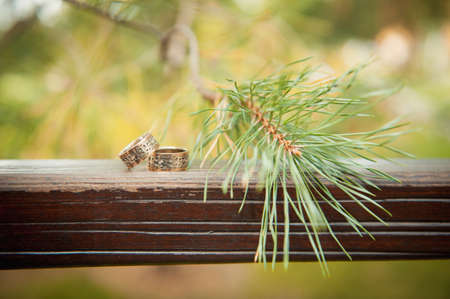wedding rings on a wooden board spruce needles with bokeh backgroundの写真素材