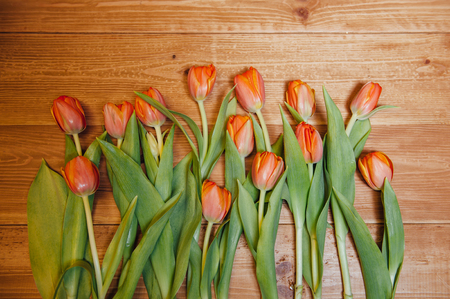 orange Dutch tulips over wooden table backgroundの写真素材