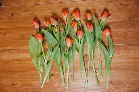 orange Dutch tulips over wooden table backgroundの写真素材