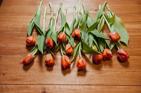 orange Dutch tulips over wooden table backgroundの写真素材
