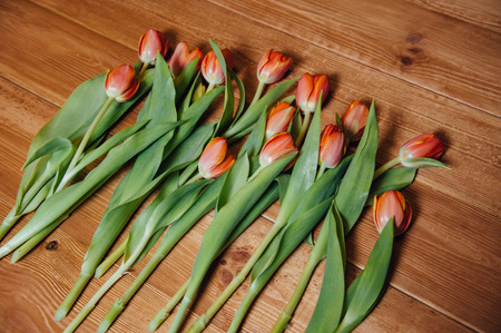 orange Dutch tulips over wooden table backgroundの写真素材