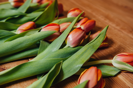 orange Dutch tulips over wooden table backgroundの写真素材
