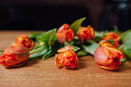 orange Dutch tulips over wooden table backgroundの写真素材