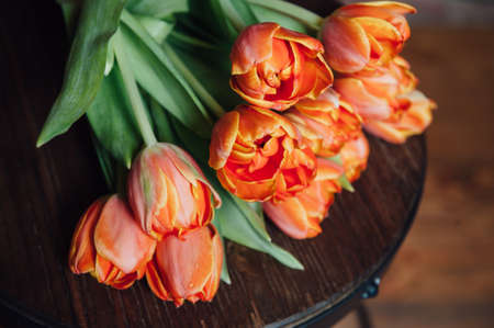 orange Dutch tulips over wooden table backgroundの写真素材
