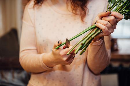hand girl with scissors cuts the stalk of chrysanthemumの写真素材