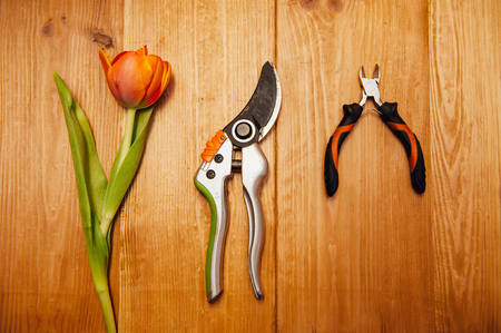 Set of plant care utensils on wodden plate.の写真素材