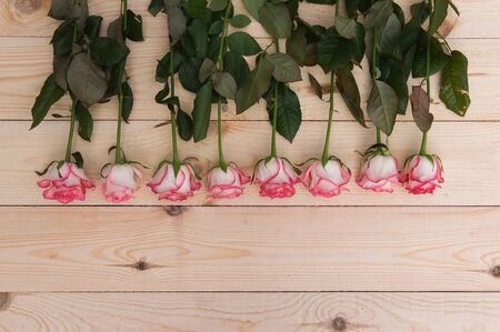 Beautiful pink roses on a dark wooden table, with space for textの写真素材