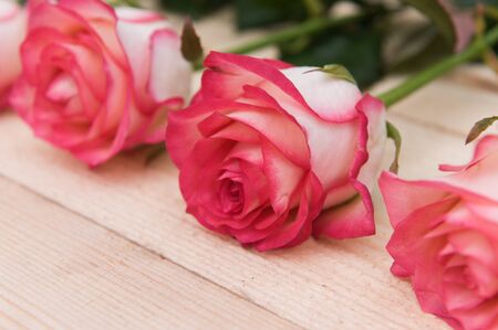 Beautiful pink roses on a dark wooden table, with space for textの写真素材