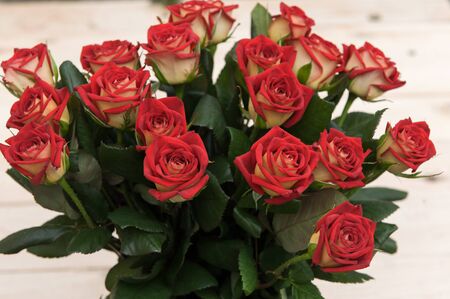 Beautiful red roses on a dark wooden table, with space for textの写真素材