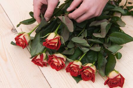 Beautiful red roses with hands on a dark wooden table, with space for textの写真素材