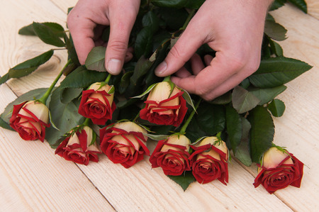 Beautiful red roses with hands on a dark wooden table, with space for textの写真素材