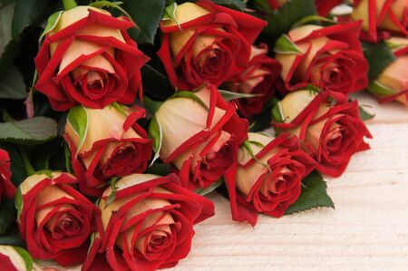 Beautiful red roses on a dark wooden table, with space for textの写真素材