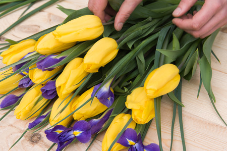Beautiful yellow tulips with hands on wooden background. Top view, copy spaceの写真素材