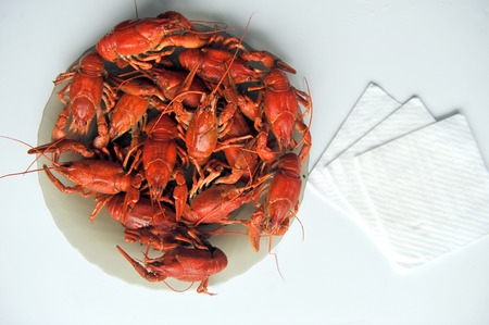 cooked Crayfish on a white background. Crayfish isolated on whiteの写真素材