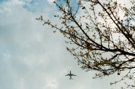An airplane flying in the blue sky with clouds and the branches of treesの写真素材