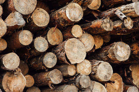 pine logs stacked in a pile on a green grass
