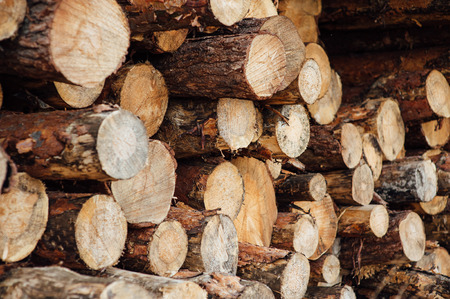pine logs stacked in a pile on a green grass