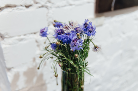 Spring flowers set. on a white brick backgroundの写真素材