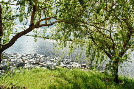 summer landscape with tree, river and blue sky.の写真素材