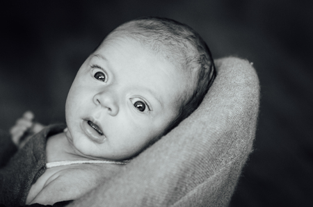 cute newborn looks surprised at the camera.の写真素材