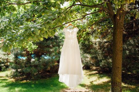 beige wedding dress hang on tree branch in gardenの写真素材