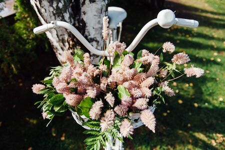 Wedding decor with white bicycle and flowersの写真素材