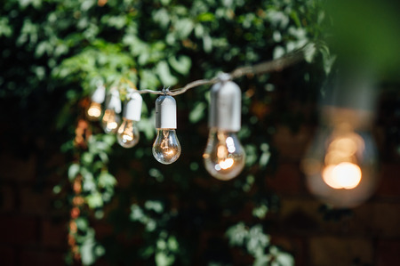 Light bulb decor in outdoor party. Party