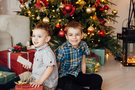 Two funny boys play together. Cute happy brothers smiling and having funの写真素材