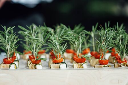 catering services background with snacks on guests table outdoor wedding party.の写真素材