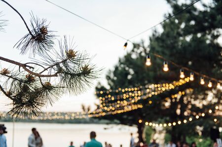 Light bulb decor in outdoor party, Wedding partyの写真素材