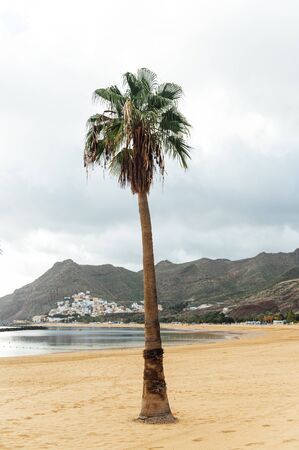 View from the height of the golden sand, palm trees, sun loungers. cloudy weatherの写真素材