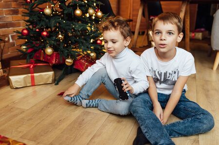 Two funny boys play together. Cute happy brothers smiling and having funの写真素材