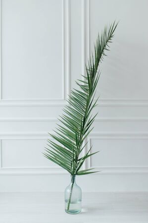 beautiful large sheet in a glass vase in a roomの写真素材