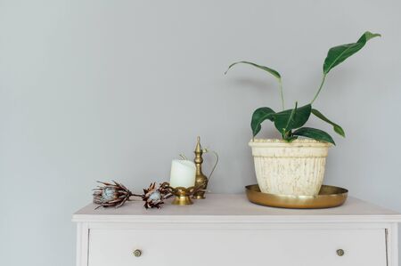 chic chest of drawers with home plants and decoration in a spacious room.