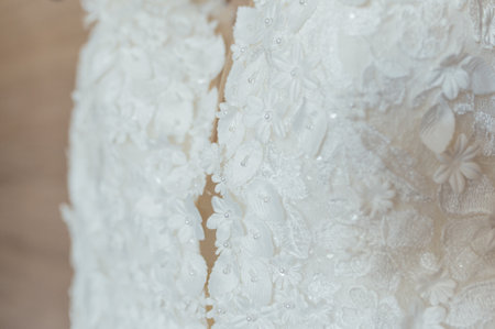 The bride s wedding dress, the wedding morning, the best moments in the life of every girl.の写真素材
