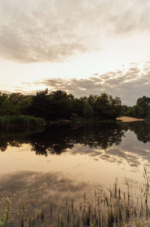Forest river at sunset. Beautiful summer landscapeの写真素材